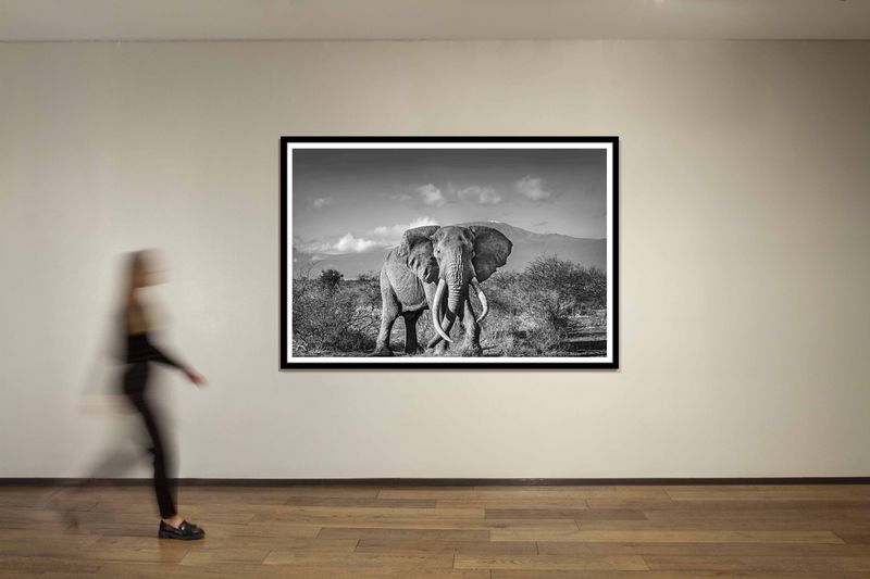 60 x 90 in., edition of 5